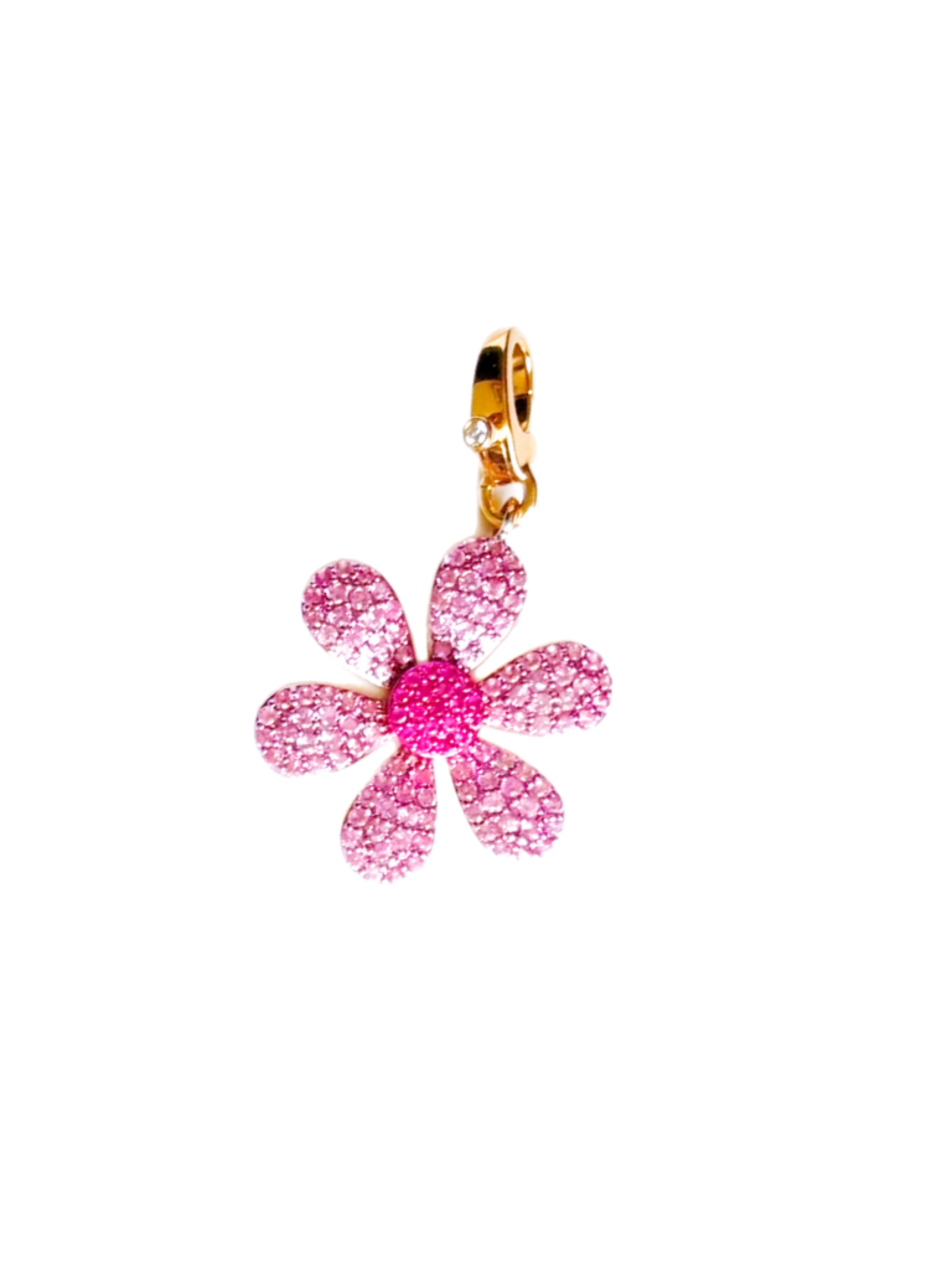 Dijes ~ Charms