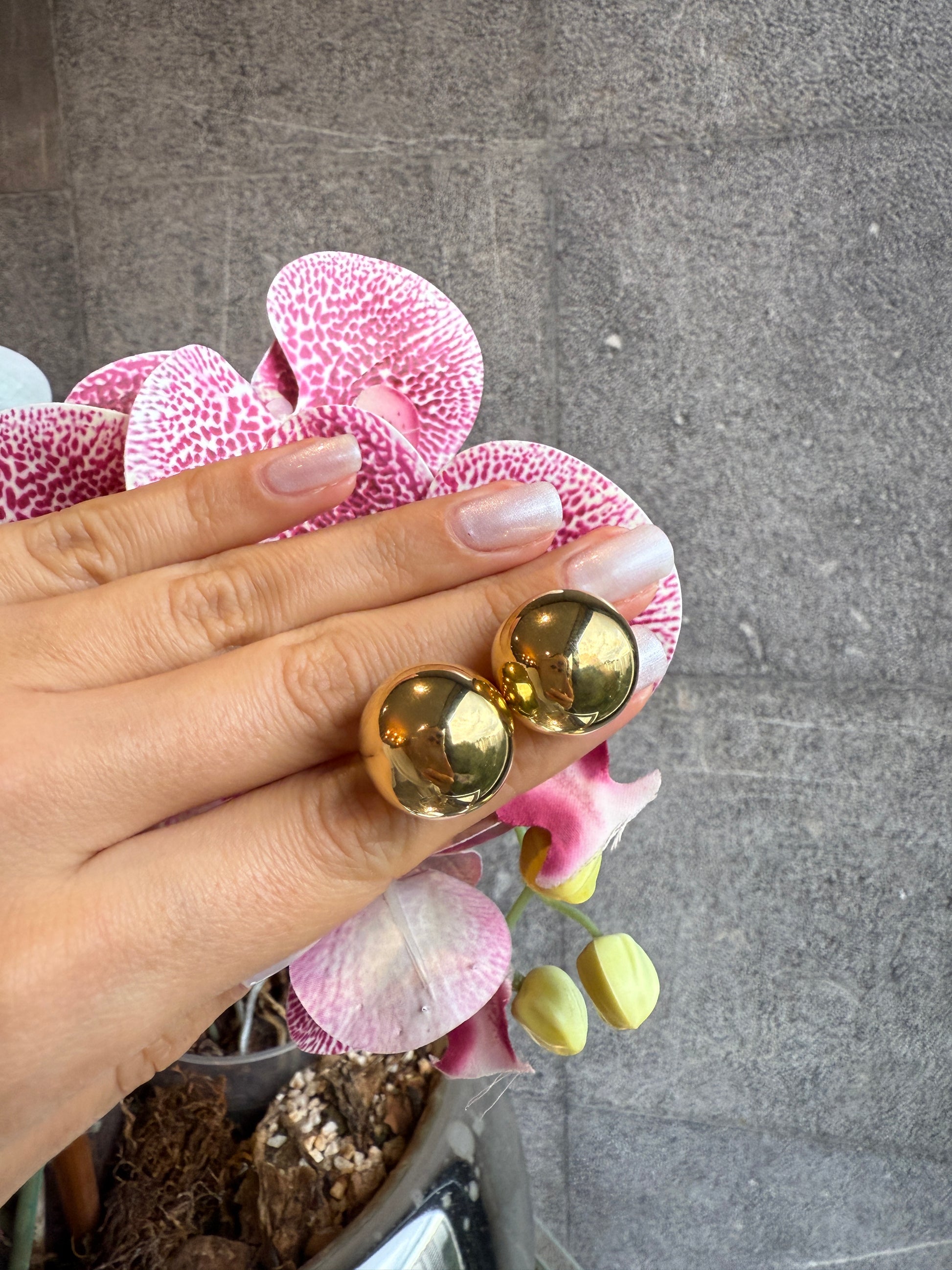 Big and Bold Earrings