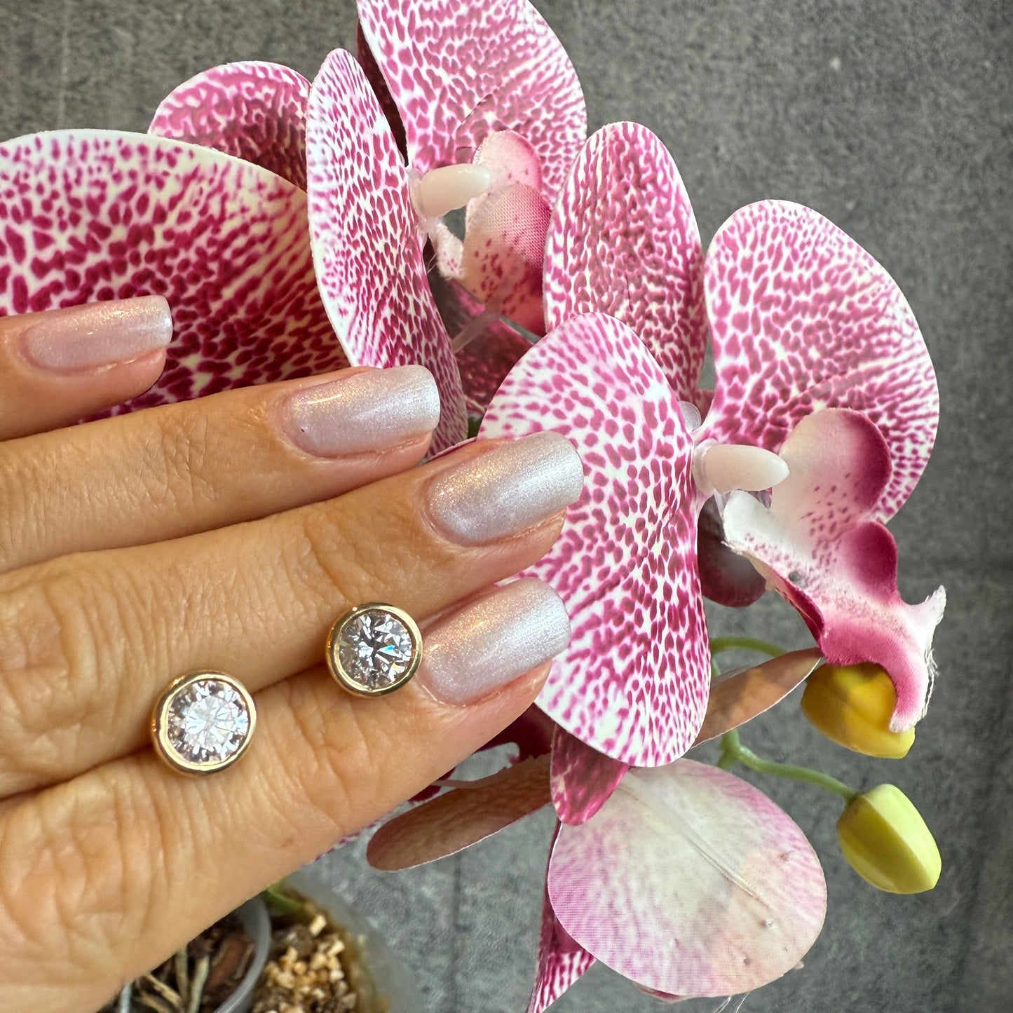 Orbit Bezel Lab Studs Aretes